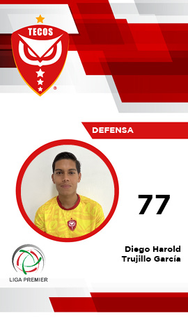 Defensa